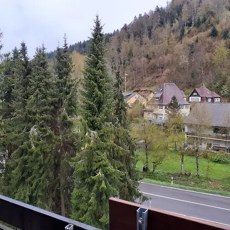Beale Apartmán Todtmoos